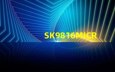 SK9816MICRO-J