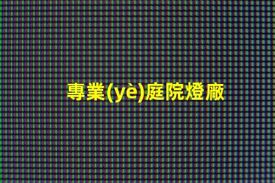 專業(yè)庭院燈廠家打造高效照明解決方案的行業(yè)領(lǐng)軍者