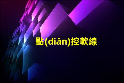 點(diǎn)控軟線燈廠家